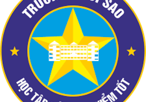Trường THCS, THPT Ngôi Sao